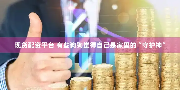 现货配资平台 有些狗狗觉得自己是家里的“守护神”