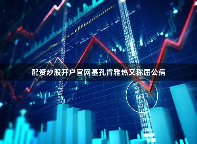 配资炒股开户官网基孔肯雅热又称屈公病