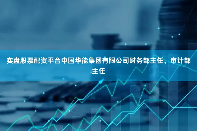 实盘股票配资平台中国华能集团有限公司财务部主任、审计部主任
