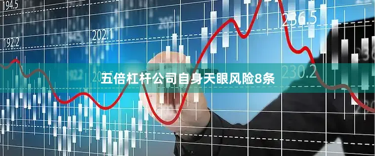五倍杠杆公司自身天眼风险8条